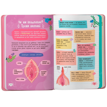 Ілюстрація з книги про менструацію Інфографіка про фізіологічні зміни