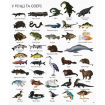 Книга для детей 1000 назв тварин