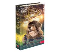 Обкладинка книги Зграя. Затемнення. Книга 3. В імлі