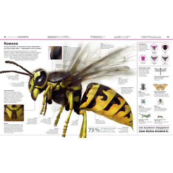 Ілюстрації з книги Енциклопедія знань Розворот дитячої енциклопедії знань