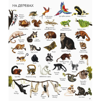 1000 назв тварин. Серія Час із книгою, Джесіка Грінвел, 40 с. 30х25 см., Жорж, Z104006У