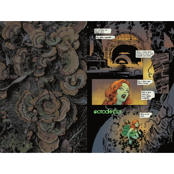 задня обкладинка Отруйний плющ Книга 1 Непорочне коло книжка Отруйний плющ Книга 1 Непорочне коло на столі