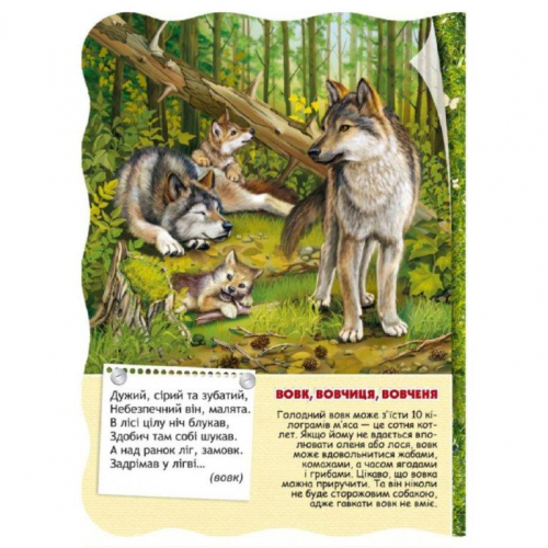 Книги Лісові тварини 978-966-429-277-8