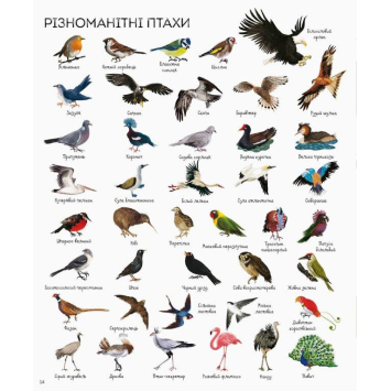 Книга 1000 назв тварин. Серія Час із книгою