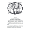 Детективні пригоди для дітей Всеволод Нестайко пригодницькі історії