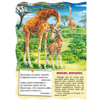 картонна книга 978-966-429-278-5