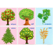 Комплекс дидактичних ігор для 1-2 класів Світ рослин НУШ