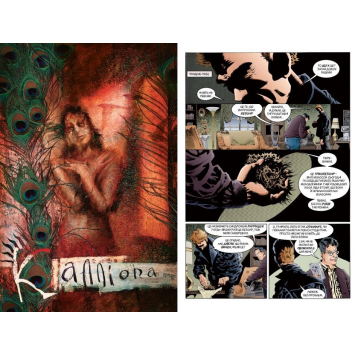 The Sandman книга 3 Країна снів Ніл Ґейман Пісочний Чоловік Країна снів комікс українською